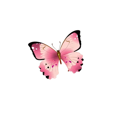 Бабочки розовые картинки - 68 фото