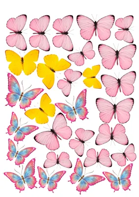 Бабочки для печати на сахарной бумаге картинки - 66 фото