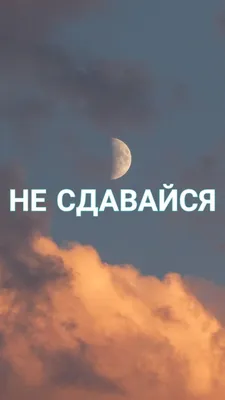 МОТИВАЦИОННЫЕ ОБОИ НА ТЕЛЕФОН НЕ СДАВАЙСЯ | Мотивирующие цитаты, Цитаты,  Мотивационные слова