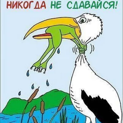 Никогда не сдавайся! (Нина Джос) / Проза.ру