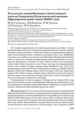 Река Тигровая в ущелье Дарданеллы — Фото №224949