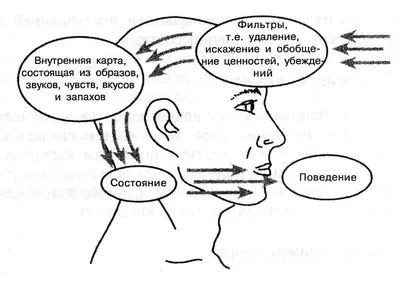 Схема:: Структура эмоций - trEnings.ru: всё о НЛП | Эмоциональный  интеллект, Самосовершенствование, Чтение психики