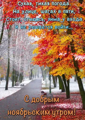 Ноябрь – сумерки года