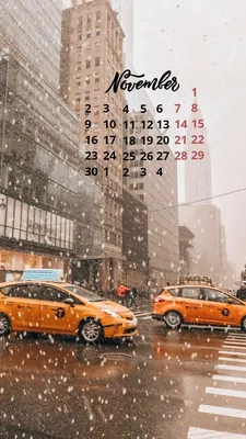 Обои на рабочий стол с календарем. Ноябрь 2021. | ИРИСОФТ
