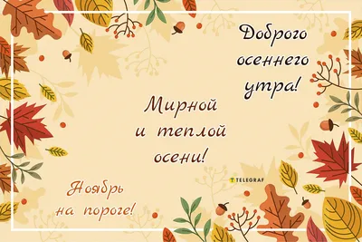 Ноябрь месяц. | Ирина Расшивалова для Вас | Дзен