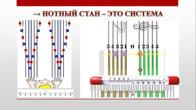 Секреты Дилидона. Нотная грамота для маленьких музыкантов. Рабочая  тетрадь-раскраска. | Геталова Ольга Александровна - купить с доставкой по  выгодным ценам в интернет-магазине OZON (162428427)