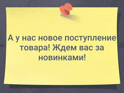 Новое поступление товара 05.07.2023 • Новости • Блог • Электроинструменты,  инструменты для электрика, садовый и хозяйственный инвентарь в Гродно.  Оптовые цены