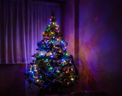 Чем опасна новогодняя елка в доме и какие правила нужно знать во время ее  установки