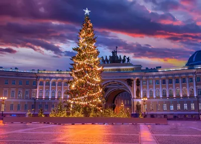 Купите ёлку Новогодняя сказка с шишками. Доставка по СПБ и РФ —  www.elki-igolki.ru