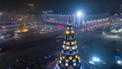 Новогодняя елка 2021. Новый год. Новый год Киев. Елка Киев 2021 | Новый  год, Ёлки, Ели