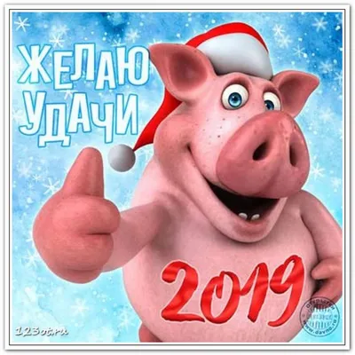 С новым 2019 годом! Год Свиньи!, качественные новогодние обои для рабочего  стола, картинки, фото 1920x1200