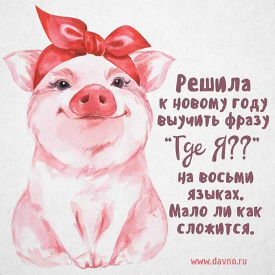 Новогодний декор: как накрыть стол и украсить квартиру к году Свиньи  (ФОТО): читать на Golos.ua