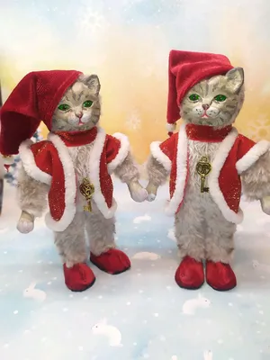 Новогодняя подборка смешных котиков, которая точно поднимет вам Новогоднее  Настроение! | Забавный Бим | Дзен