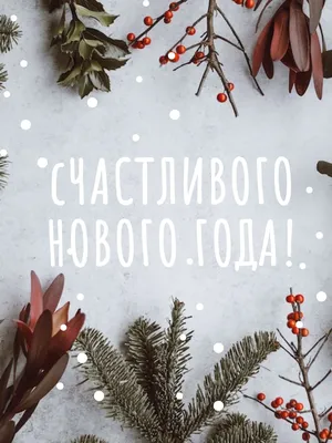 Новогодняя праздничная Открытка в нежно-серых тонах с еловыми веточками |  Flyvi