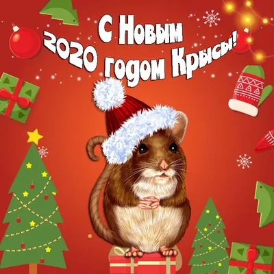 https://news.hochu.ua/cat-prazdniki/new-year/article-127280-otkryitki-s-nastupayuschim-novyim-godom-zamechatelnyie-pozdravleniya-s-prazdnikom-v-kartinkah/