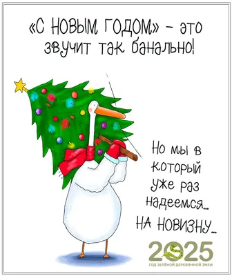 Прикольные предсказания на Новый год для семьи и друзей | KPIZ.ru