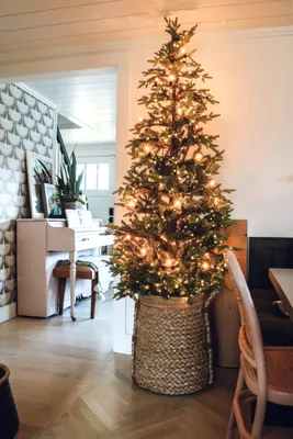 Самодельные новогодние елки для дома и сада из подручных материалов |  Украшения для рождественского стола, Рождественские идеи, Рождественская  ёлка своими руками