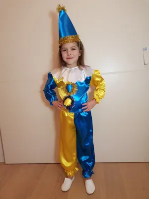 Клоунский наряд для новогодней фотографии