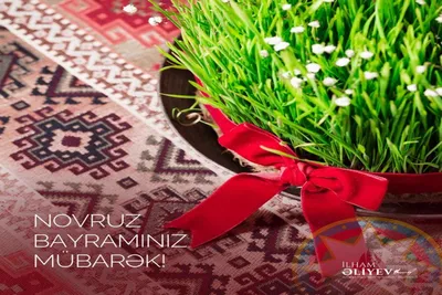 Gabala Winery - Novruz Bayramınız mübarək! Happy Novruz Holiday! С  праздником Новруз! #novruz #bayram #gabalawinery #wine #winery #gabala  #vineyard #winecountry #grapes #winemaker #drink #вино | Facebook