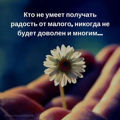 Картинки с цитатами | Motivational quotes, New quotes, Quotes