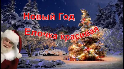Купить Креативная елочка на новый год с доставкой по Томску: цена, фото,  отзывы.