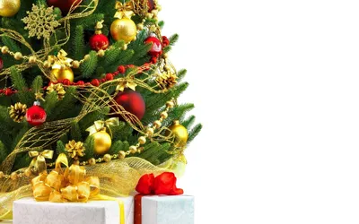 Елка на новый год, новогодняя елка, новогодняя композиция из нобилиса,  новогодняя ёлочка Карнавальная ночь