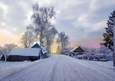 Первый Новый год в деревне | Город- Деревня | Дзен