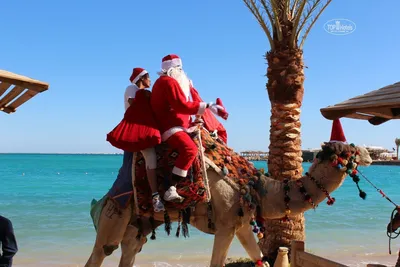 La Vacanza - Хохохо! Новый Год в Египте с La Vacanza! ✨... | Facebook