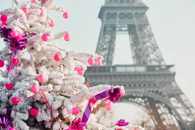 Новый год в Париже | Турист.бел