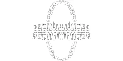 Нейросети в производстве зубных протезов / Хабр