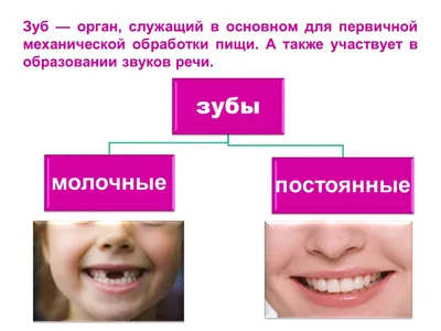ЦИФРОВАЯ СТОМАТОЛОГИЯ Самара on Instagram: \"Azizov Dental Clinic - цифровая  стоматология, но сегодня о других цифрах ☺️ Многие из вас наверняка слышали  на приеме у стоматолога, как врач говорит ассистенту: «46 зуб –
