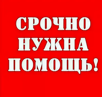 Дорогие подписчики, очень нужна помощь – Газета \"В 24часа\"