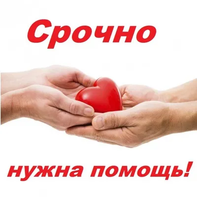 Фонд Нужна помощь added a new photo. - Фонд Нужна помощь