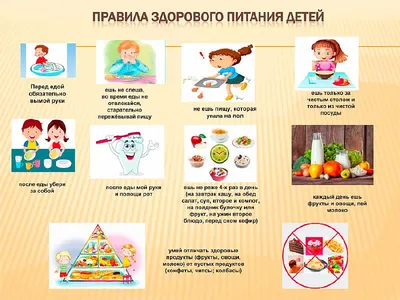 Требования к питанию в детсадах и школах изменились с 2021 года - МК Якутия