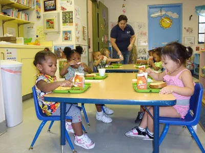 Организация питания в детском саду - Ошколе.РУ