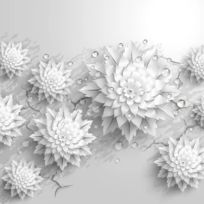 Фотообои Объёмные белые цветы купить на стену • Эко Обои