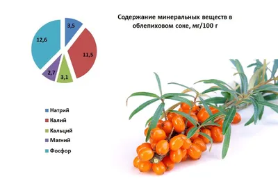 Облепиха. Полезные свойства и вред для здоровья человека