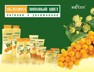 Пюре Облепиха FineBerry, 900 г - купить в интернет магазине — ШоколадНСК