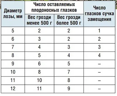 Блог про виноград Киушкина Николая: 2010