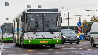 Выходи на обочину. Нижегородских детей-\"зайцев\" высаживают из автобусов |  События | ОБЩЕСТВО | АиФ Нижний Новгород