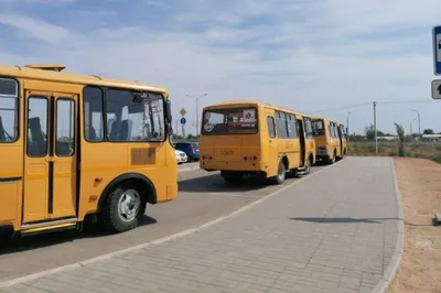 В столице Югры дети бесплатно ездят в общественном транспорте - Новостной  портал UGRA-NEWS.RU