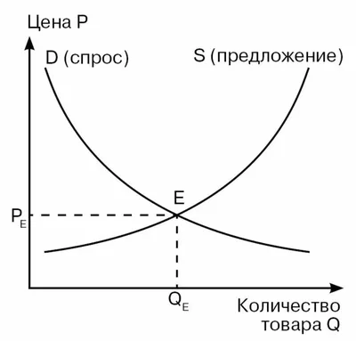 Тетрадь предметная КЛАССИКА NATURE 48 л., обложка картон, ОБЩЕСТВОЗНАНИЕ,  клетка, BRAUBERG, 404581 Купить онлайн в ЭКС по низкой цене: отзывы,  характеристики, фото