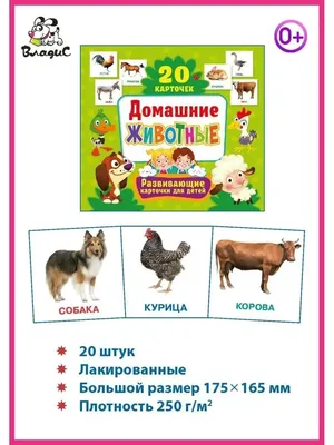 Купить книгу «Обучающие тесты. Развиваем интеллект (2-3 года)», Ольга  Земцова | Издательство «Махаон», ISBN: 978-5-389-20933-6