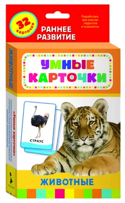 Животные Южной Америки. Обучающие карточки на картоне с познавательным  текстом купить по цене 50 ₽ в интернет-магазине KazanExpress