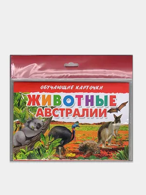 Английский язык для детей. Дикие животные. English for children. Wild  animals. Развивающие мультики. - YouTube