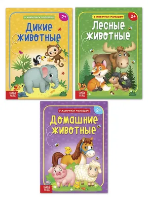 Обучающий электронный плакат \"ZOO Азбука\" для детей, умная игрушка на  батарейках со звуковыми эффектами, учим буквы, цифры и животных - купить с  доставкой по выгодным ценам в интернет-магазине OZON (819382498)