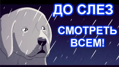 Очень грустная история! Смотреть всем! До слез... - YouTube