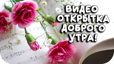 Группа друзей-женщин празднует новый год или событие Очень красивые девушки  на рождественской ёлке Мода и красота Стоковое Фото - изображение  насчитывающей смешно, возбужденный: 161292892