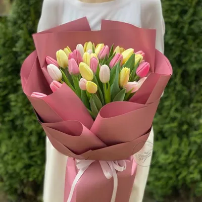 Букет из 5 белых тюльпанов • MoreRoz.By Выгодное предложение!