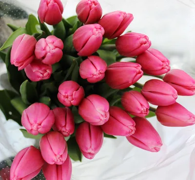 Очень красивые, белые тюльпаны в …» — создано в Шедевруме